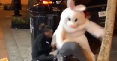 Florida Man Gets Rabbit Punched By Easter Bunny