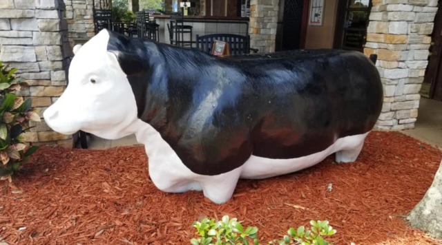 Florida Man Steals 12 Foot Cow Statue From Restaurant